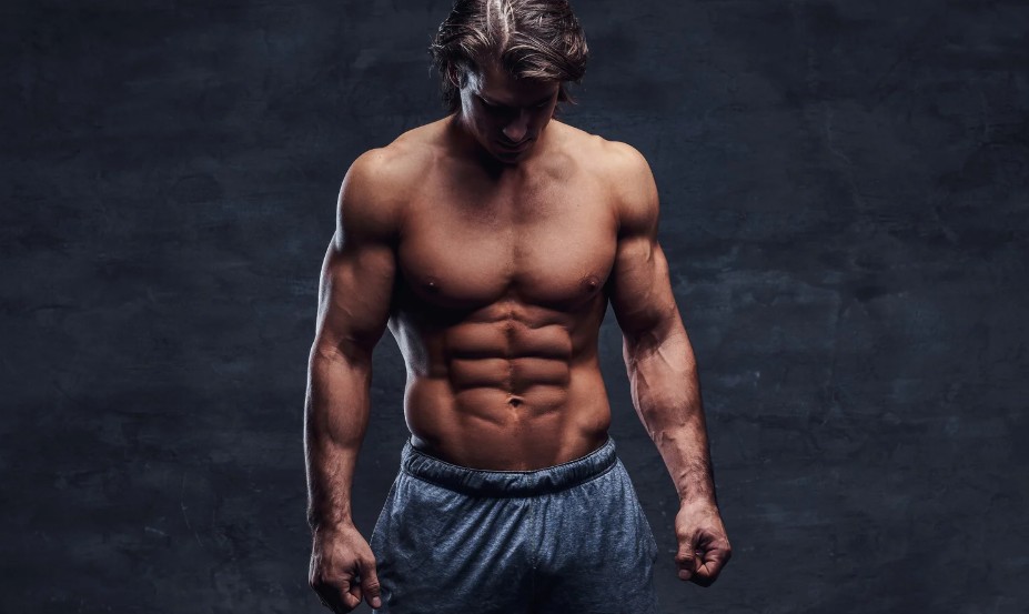 calisthenics physique