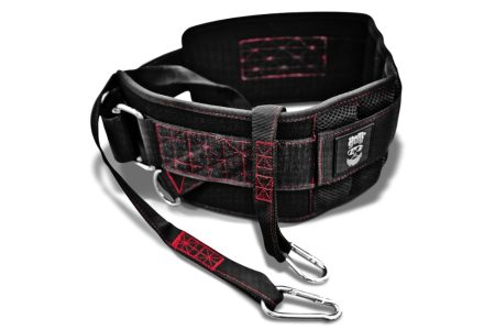 THEFITGUY Ultimate Dip Belt